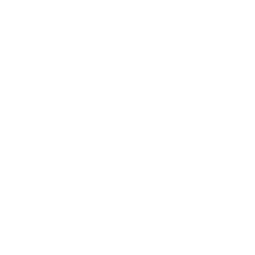 cta-icon