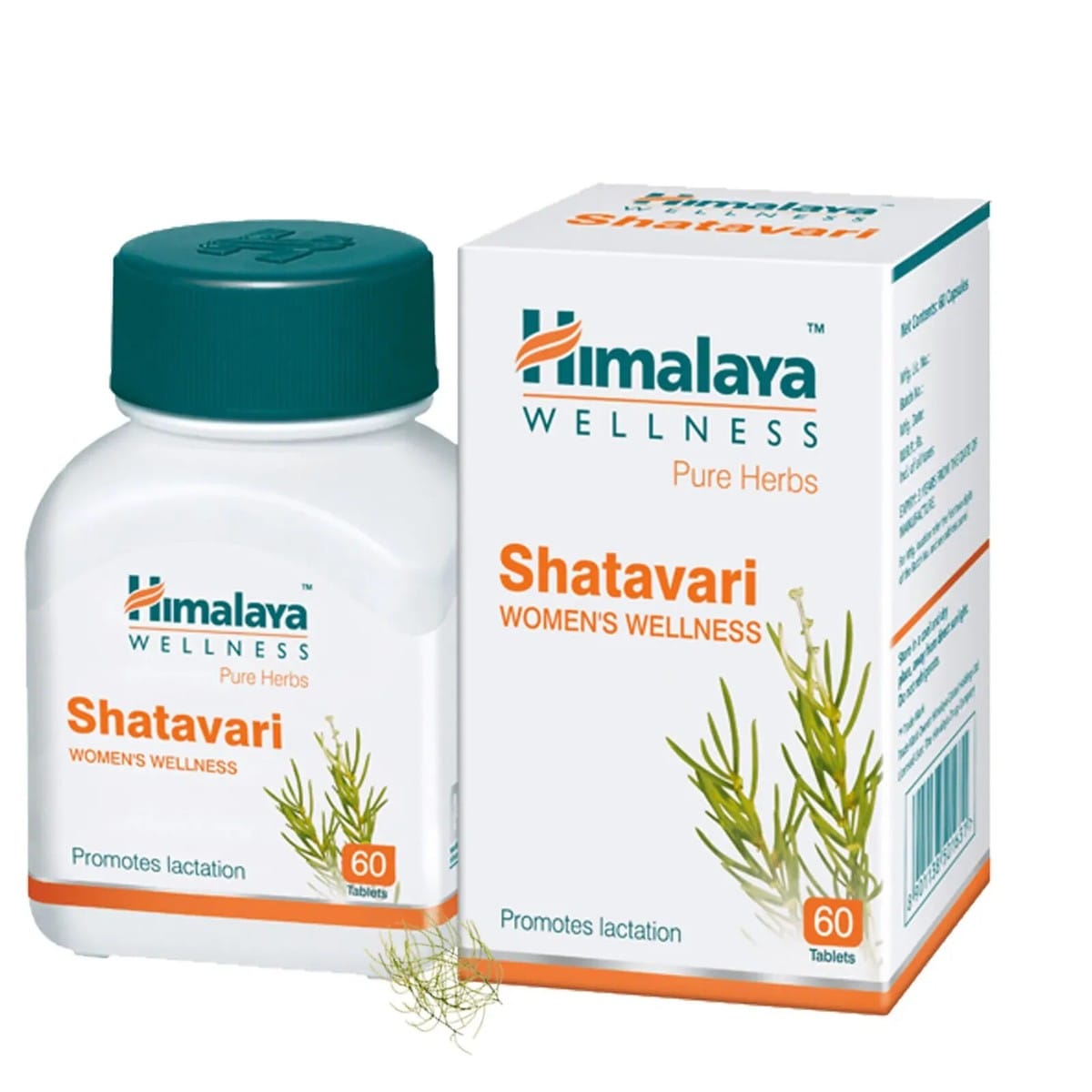 Shatawari