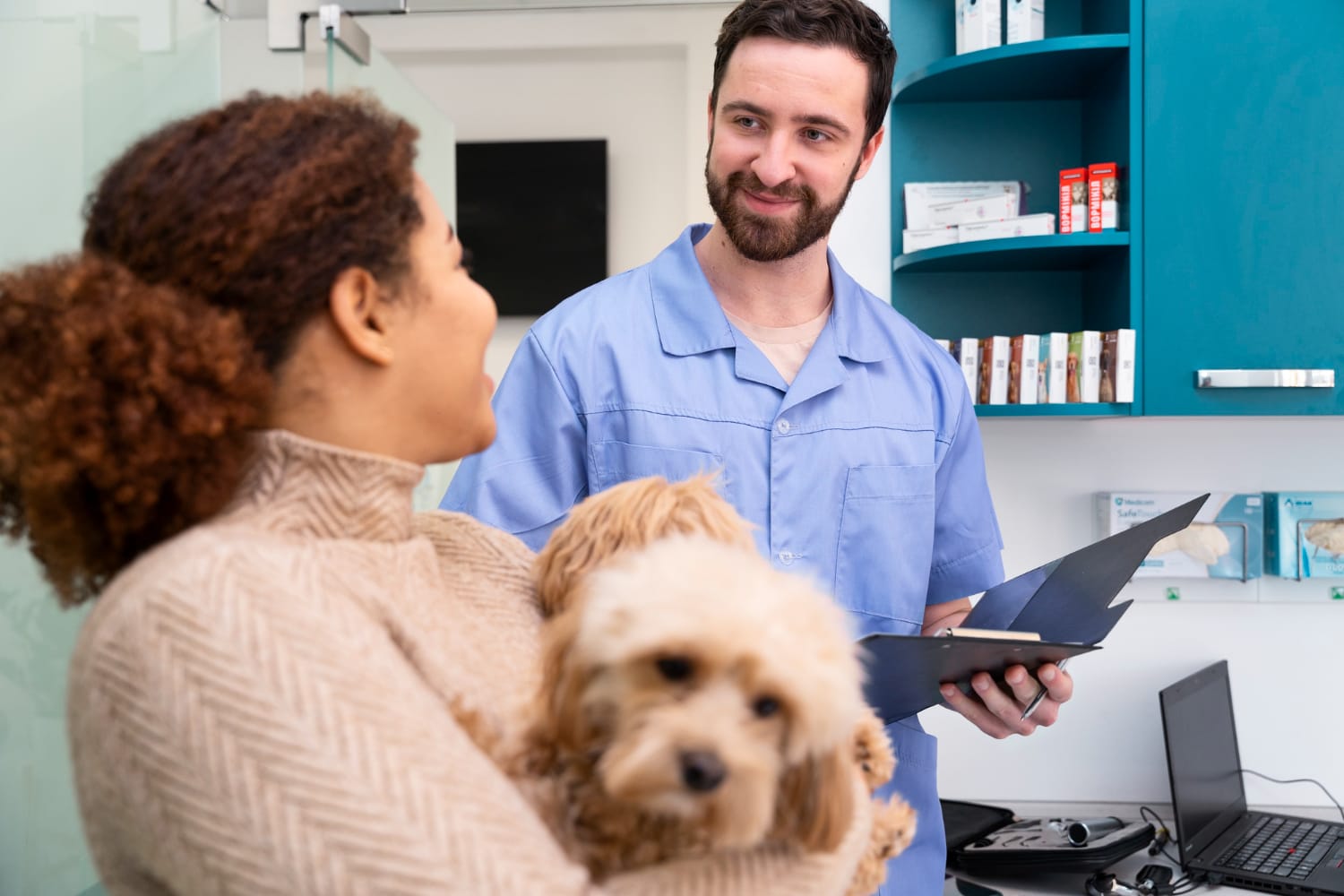 Zyrtec dosage for dogs