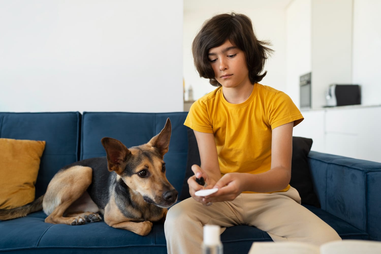 Zyrtec dosage for dogs