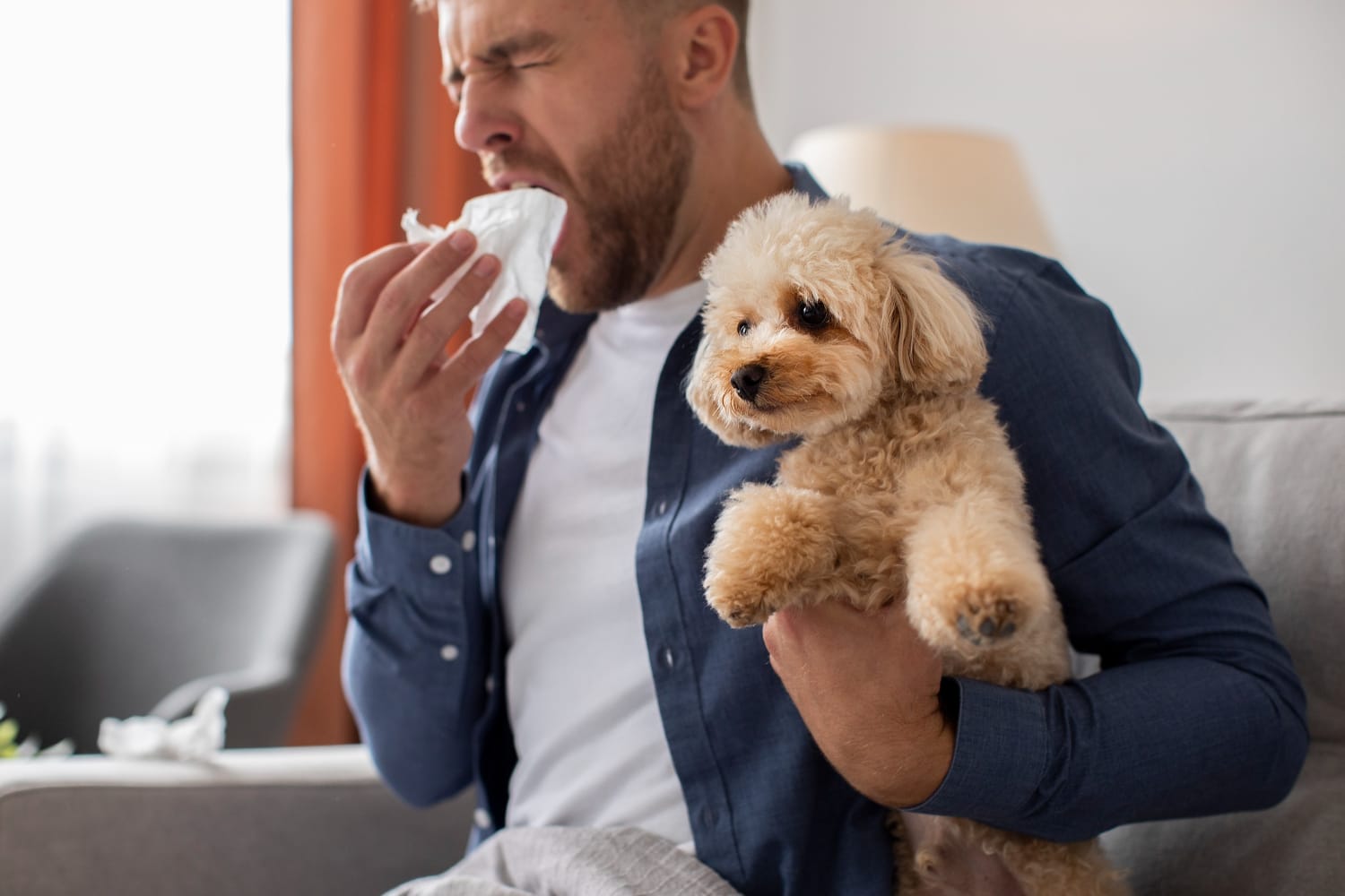 Zyrtec dosage for dogs